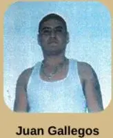 Juan Gallegos